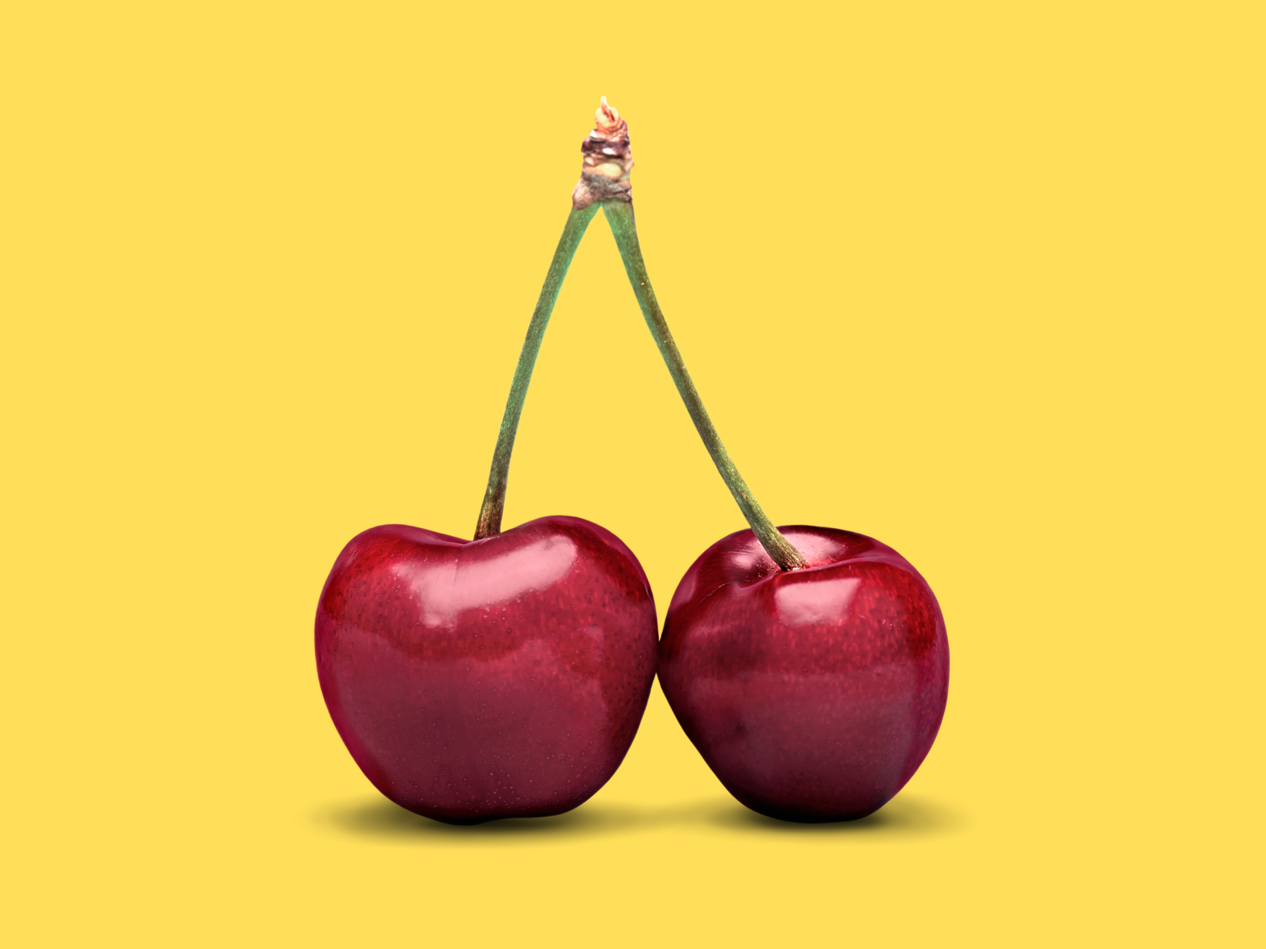 The Future of Storytelling in a World That Demands Differentiation